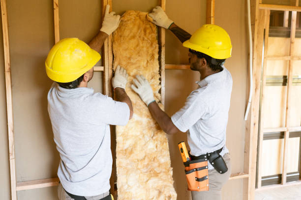 Best Wall Insulation Installation  in Wilmington, DE